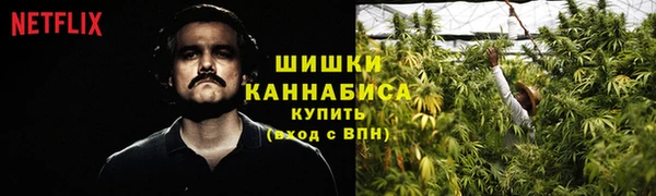 экстази Заводоуковск