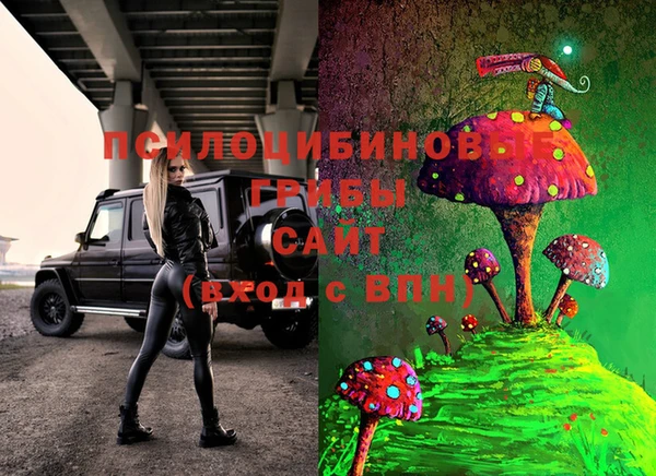 экстази Заводоуковск